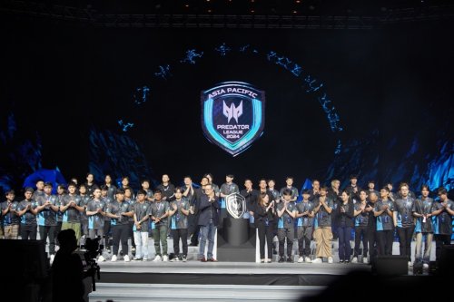 极好地展示 极好地展示